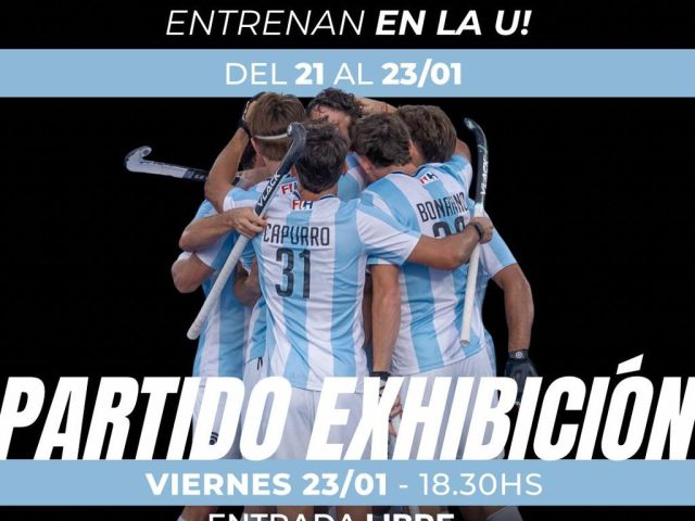 WhatsApp Image 2026-01-17 at 11.47.28